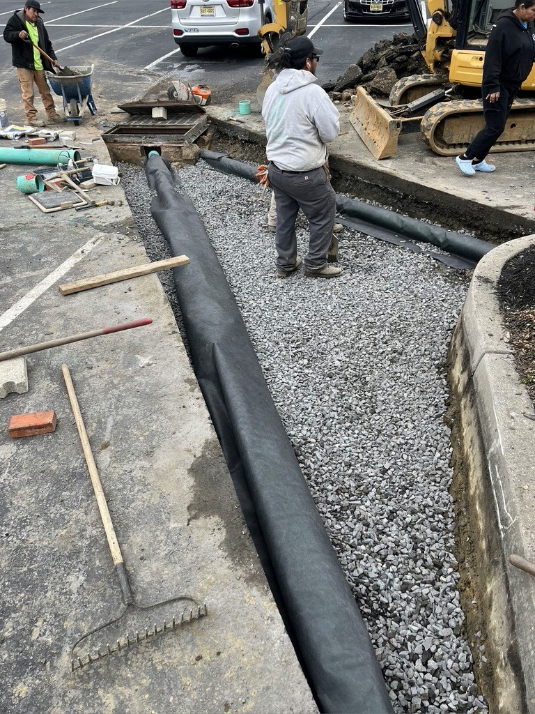 Maple Commons Drainage Repair — image 2